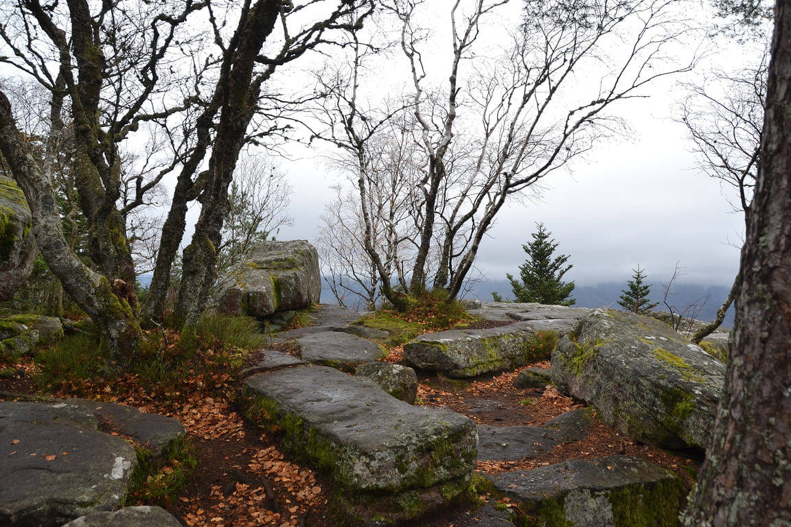 Rochers et arbres en automne dans le massif du Taennchel