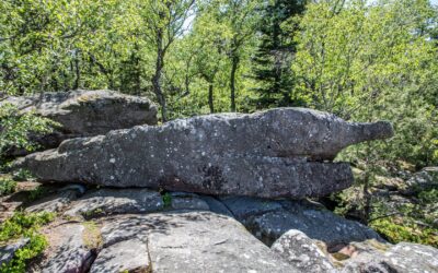 Randonnées magiques dans le massif du Taennchel en Alsace
