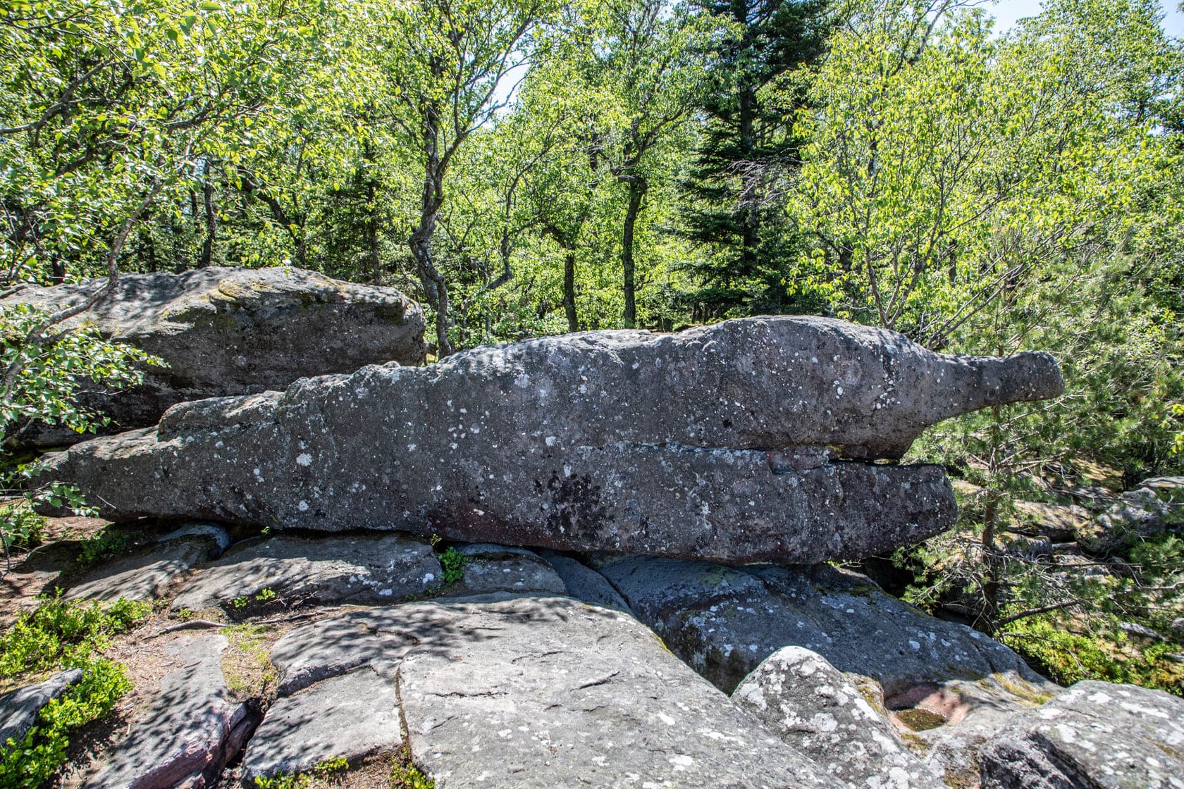 Rocher magique du massif du Taennchel dans les Vosges