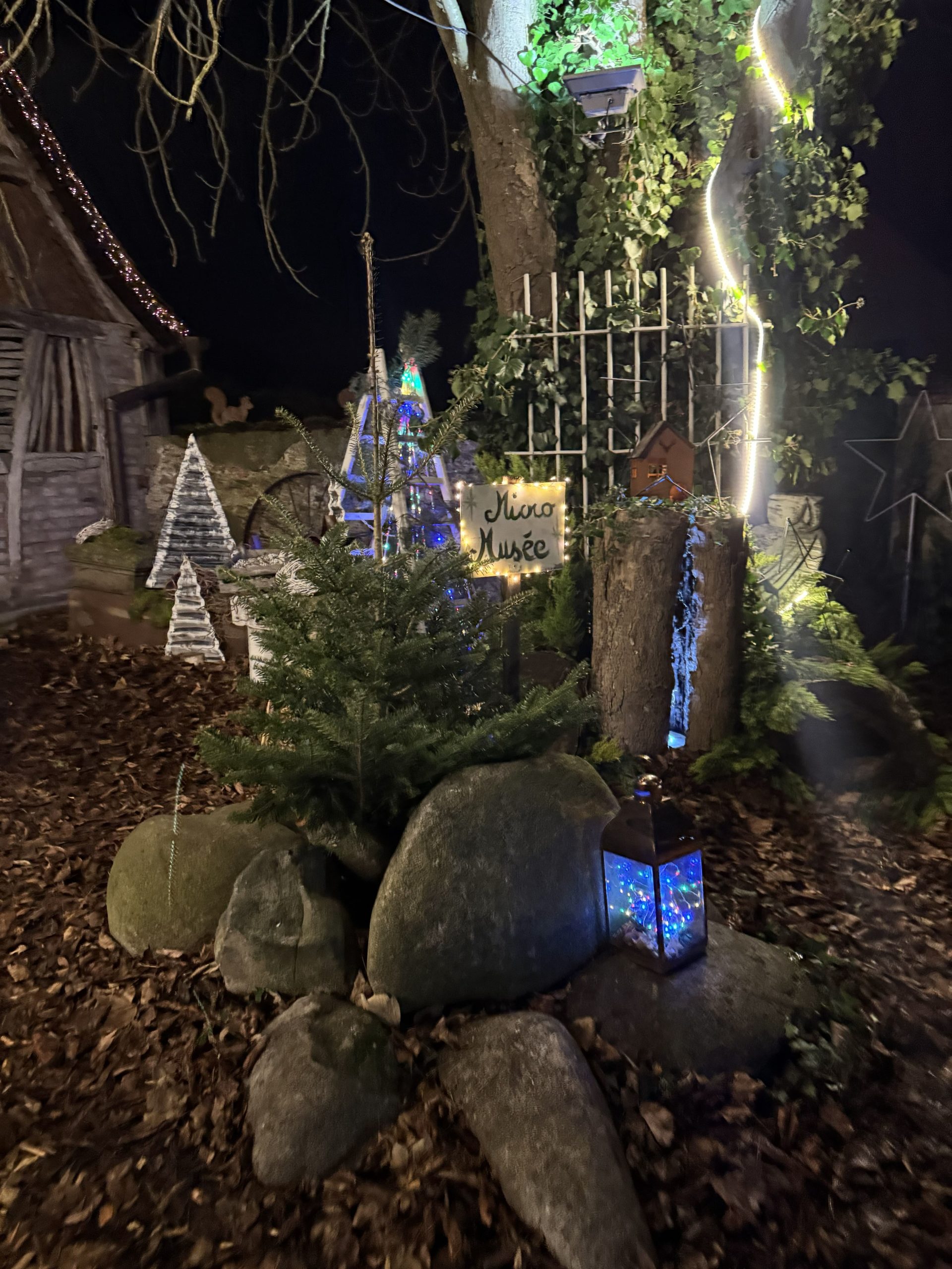 marche de noel alsace